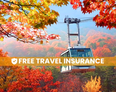 Korea Autumn Discovery (Cebu Out)