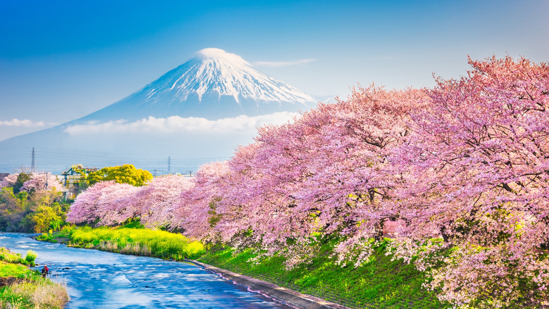 Travel